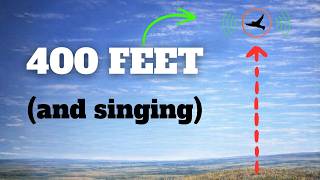 Meet The Bird That Sings From 400 Feet in the Air (Sprague’s Pipit) Noticias
