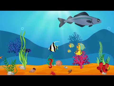 Ocean Underwater Fish