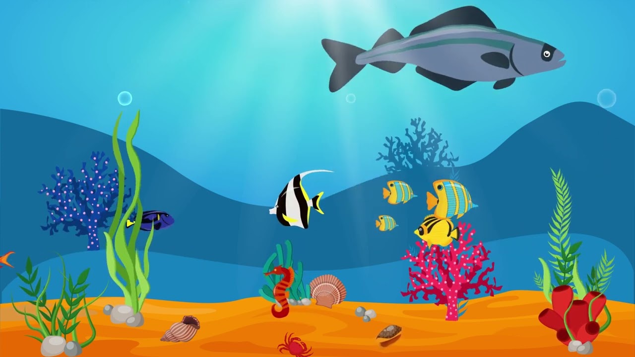 Ocean Underwater Fish Animation In Adobe After Effects ~ Motion Graphics
