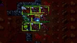 Tibia pk Selena Askara Danubia