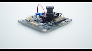 Tokay Lite - EdgeAI Plug-and-play setup video screenshot 4