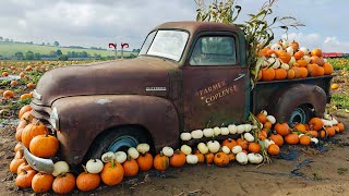 Farmer Copleys Pumpkin Festival 2025 | 4K 