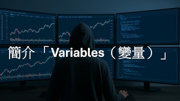 【廣東話】【MQL5 編程教學】2. 簡介 「Variables（變量）」