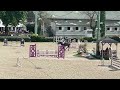 Cheval à vendre - Superbe jument de concours - equirodi.com