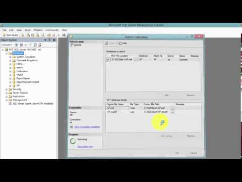 Cách Attach File Cơ sở dữ liệu vào SQL Server cực chi tiết