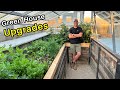 Sunken greenhouse project  new upgrades  2024