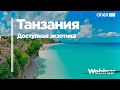 Доступная экзотика - остров Занзибар!