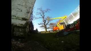 Treeworks Tree Care - Oak Takedown, A groundsman's perspective.
