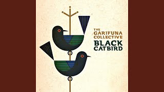 Video thumbnail of "The Garifuna Collective - Black Catbird"