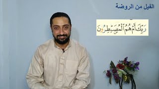 38- فاتبع قرءانه - طرق القصر لحفص - طريق الفيل من روضة ابن المعدل