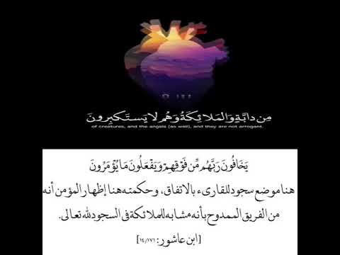 ي خ اف ون ر ب ه م م ن ف و ق ه م و ي ف ع ل ون م ا ي ؤ م ر ون