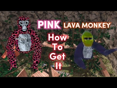 lava monke in gorilla tag! (Day 2) : r/GorillaTag