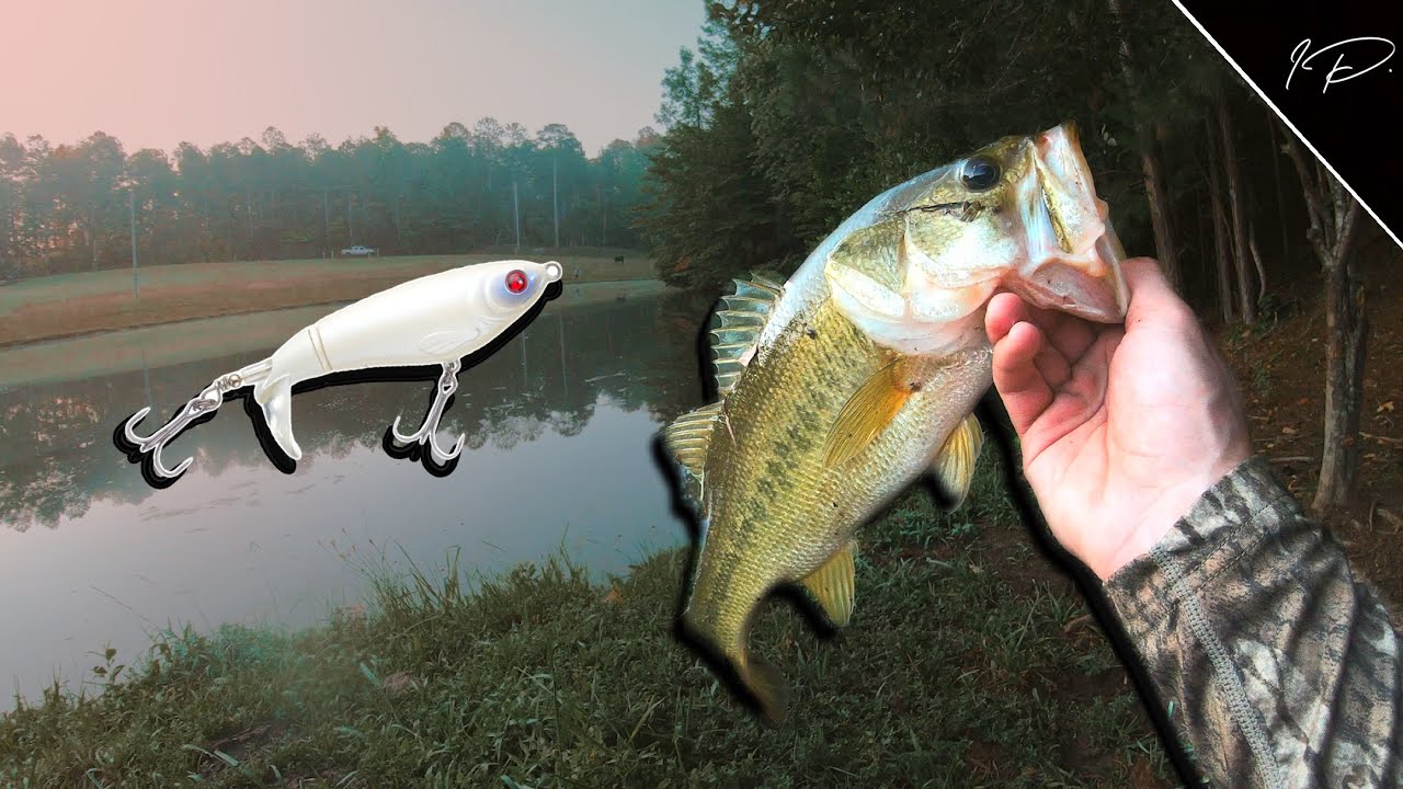 TOPWATER ONLY CHALLENGE (BIG Blowups) (Bass Fishing)