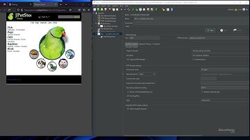 Bzm - Correlation recorder (Basic - Manual - Recorder)