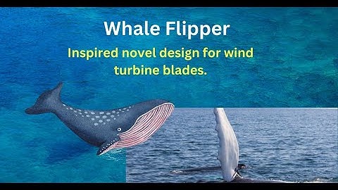 Whale flipper inspired novel design for wind turbine blades