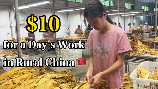 A Rural Chinese 🇨🇳 Girl’s Day Job: I Earn Only 10 Dollars a Day screenshot 5