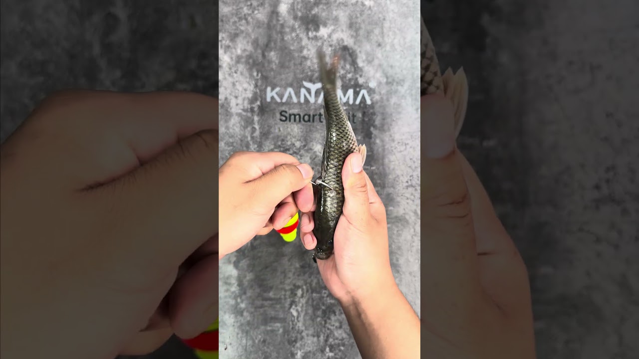 Kanama Smart Bait - Moving Bait Works Better—Every Time