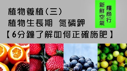 7施肥【6分钟了解如何正确施肥】植物养植(三) - 天天要闻