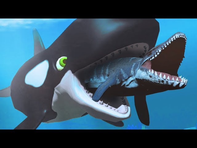 Orca - Feed Us