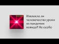 Пандемия ковида преподала людям много уроков. Но судя по оспе обезьян, никто их не выучил