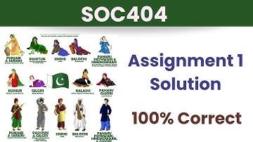 SOC404 Assignment 1 Solution_Fall 2023_100% correct