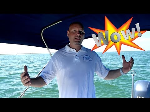 scatter-ashes-amazing-(florida-ocean-ash-scattering-ceremony)-2017