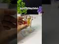 Simple Walking Robot with dcmotor #youtubeshorts #robot #experiment #diy #dcmotor #techbuild