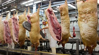 Amazing Fastest Pork Meat and Beef Cutting Skill - Modern Meat Processing Food Line Factory