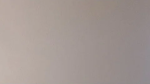 Mukbang Wendy's 4 For $4