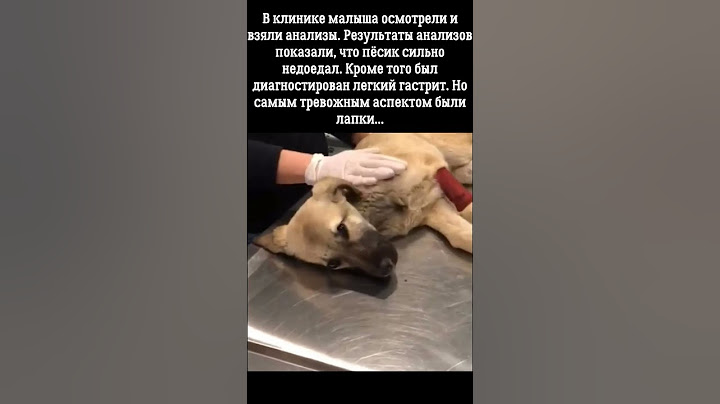 Он звал на помощь, но его никто не слышал