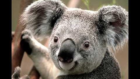 STD 6 / COMPUTER / 4. PRESENTATIONS  IN POWERPOINT / AMIT PARMAR / 13-08-2021