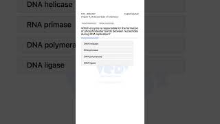 DNA Replication Enzyme BIOLOGY 12th Molecular Basis of Inheritance