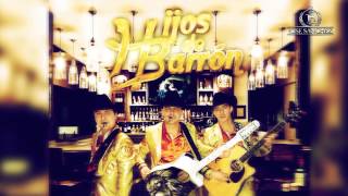 Hijos de Barron - La Guarecita (con Tololoche) (En Vivo) (2014)