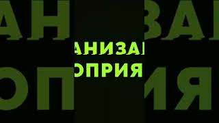 ПИПЛ БАР МОСКВА | ЛУЧШИЙ БАР МОСКВЫ |РАБОТА КЛУБНЫМ ПРОМОУТЕРОМ |  PIPL BAR MOSCOW|  #Shorts