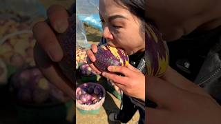 Pepino fruit harvest and fresh eating #fruit #trending #yummy #sweet