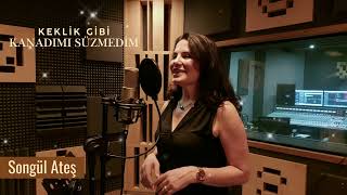 Songül Ateş Keklik Gibi Kanadımı Süzmedim