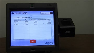 RightPunch™ PC-Based Biometric Time Clock - Alternative to Kronos Video #1 (ESS Functions)