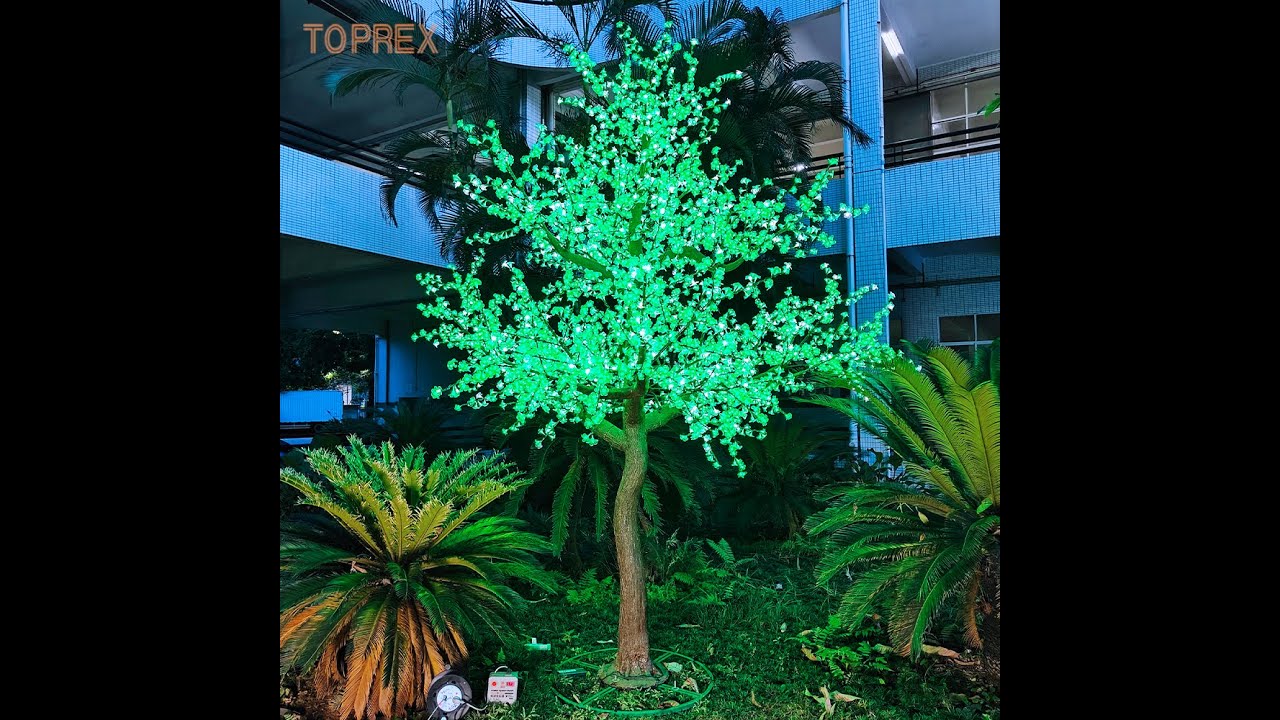 Can you believe how beautiful this glowing cherry blossom tree is?