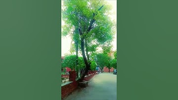 #jamia #exam #amu #bhu # #pyq#jmi#jnu#du#pg#ug#rca#diploma#mba#btech#mca#ballb#ba#school#schoollife