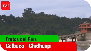 Calbuco - Chidguapi | Frutos del país - T12E6