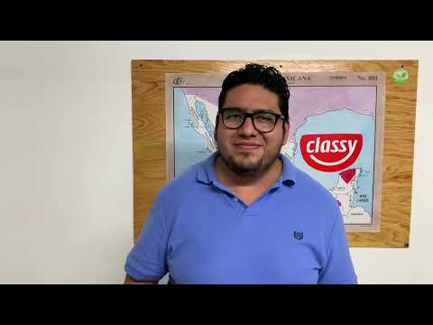 Miniatura del testimonio de Enrique Flores de Proplus