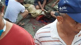 Happy Eid Al-Adha #1 (Warning Blood)(only watch Indonesia)