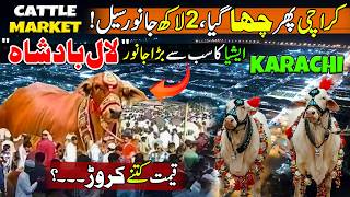 Pakistan's Biggest Cattle Market in Karachi 2026 | Biggest Bull of Asia in Market | Eid-ul-Azha