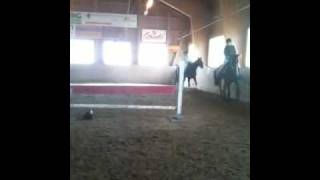 Video Thumbnail for Me riding my beautiful Horse Corneau