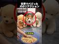 不公平が大嫌いな犬…まさかの反応に爆笑!