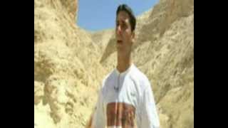 Çi̇zgi̇li̇ Sirtlan Hyaena Hyaena