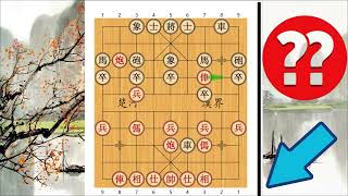 Chen Lichun 陈丽淳 vs Shi Fenglan 时凤兰