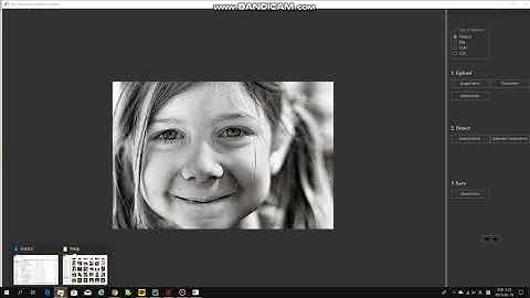 Facial Landmark Editing Program-Basic