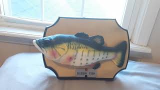Bubba Fish the singing sensation