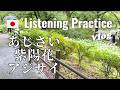Japanese Listening Practice | The Impression Difference between Kanji, Hiragana, Katakana